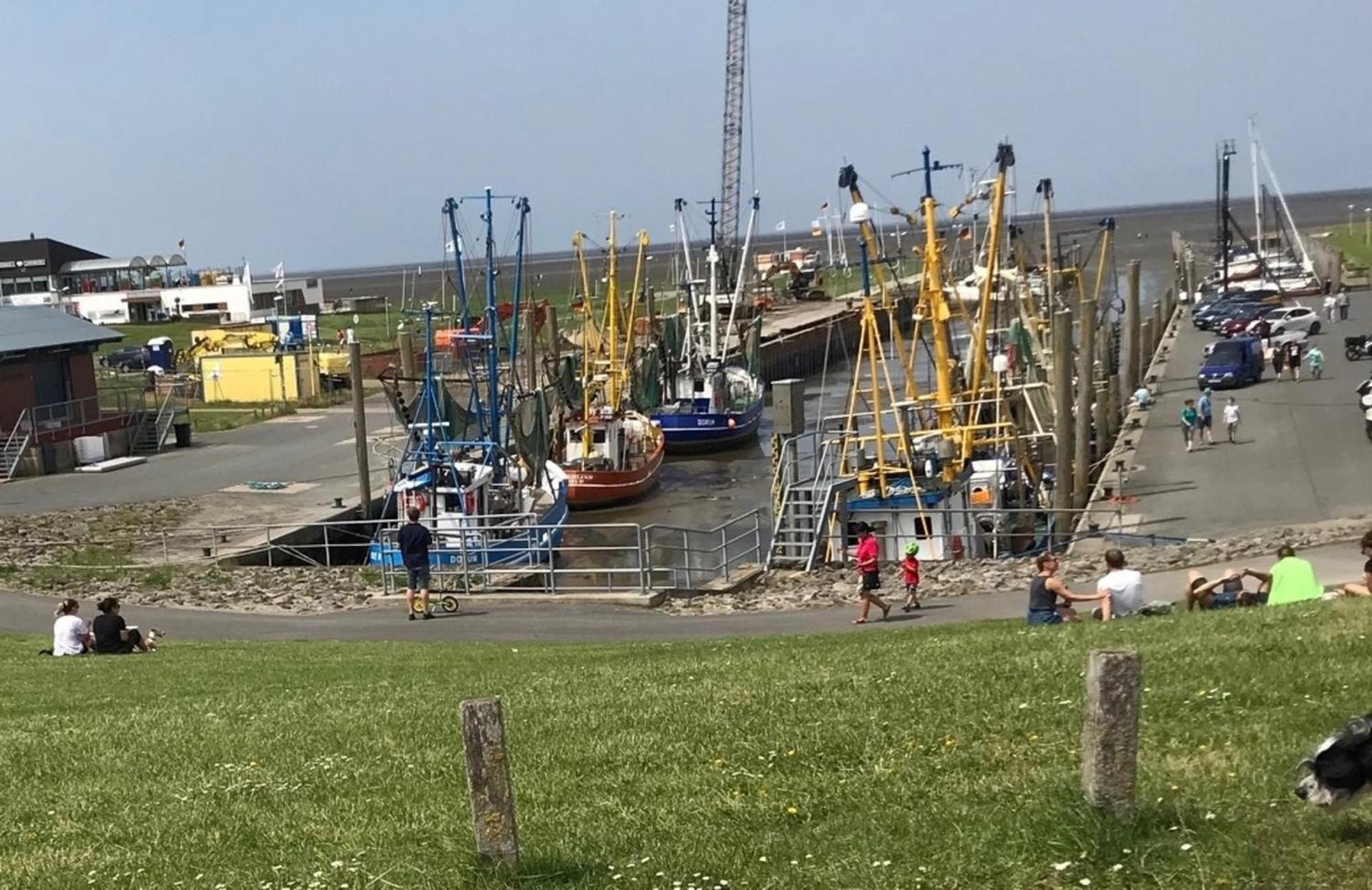 Ferienhaus Helder Дорум Нойфелд Екстериор снимка